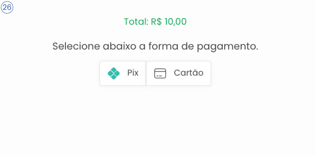 Imagem da página de pagamento com as opções